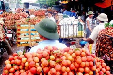 Thủ đoạn của gian thương Trung Quốc